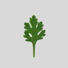 Fmm Chrysanthemum Plastic  Cutter