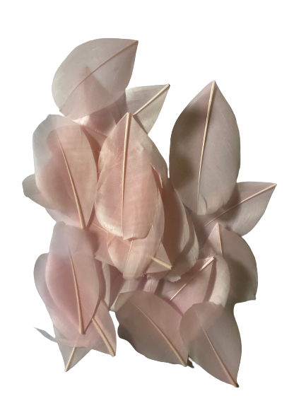 Feathers Pink +-5cm