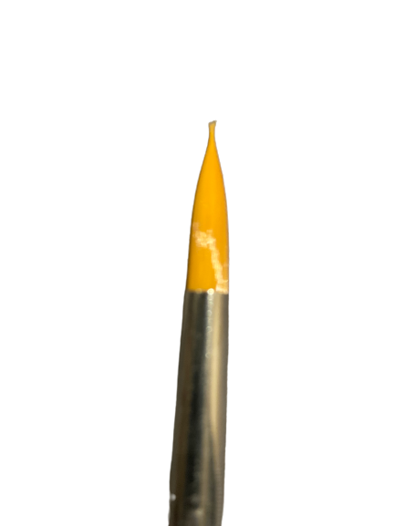 Nr10 Eve taklon round brush