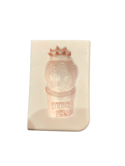 (5) Silicone Mould Cactus