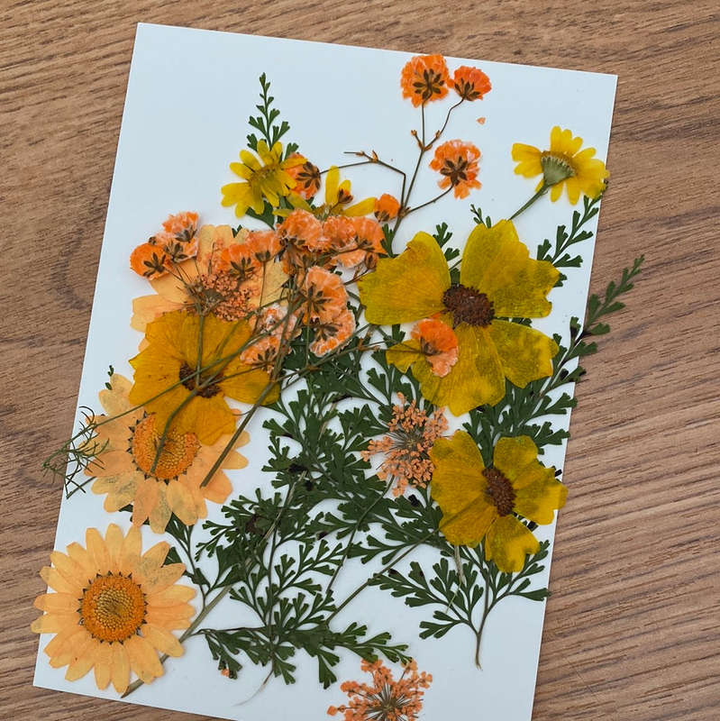 F Resin Art Dry Flowers Orange Daisy