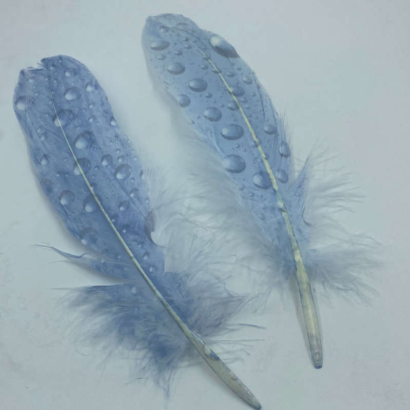 TOT-0842-17  Feathers Blue Bubbles