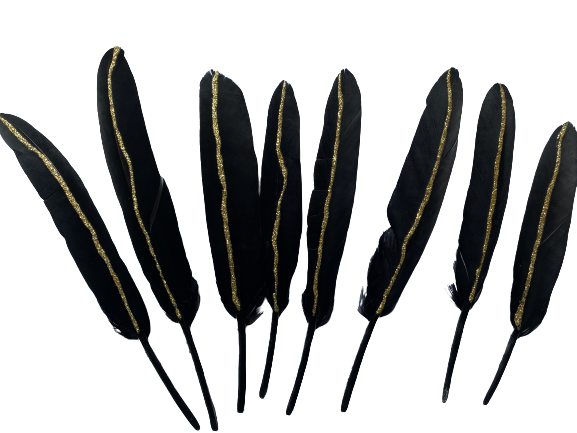 Black feather with gold stripe