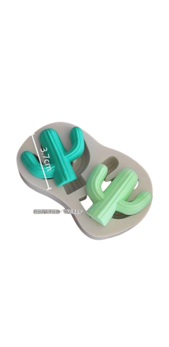 Mexican Cactus Silicone mould
