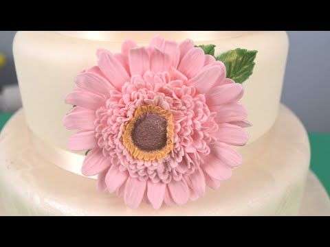 Gerbera Sunflower plastic cutter set S788