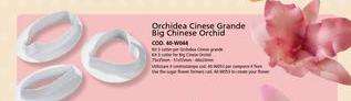 Big chinese orchid cutter