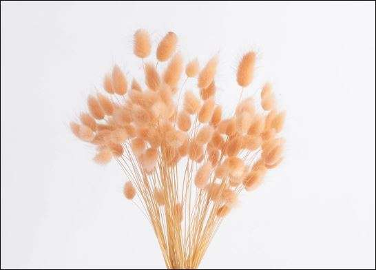 1 Stem Cake Topper Salmon Bunny Tails