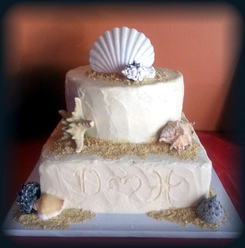 Real Shell cake topper for Hawaii party, 11x10cm, single shell