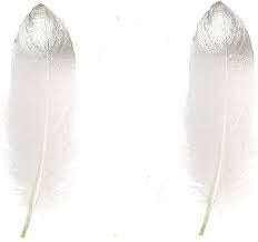 TOT-0842-14 Feathers White Silver  Tip 2pcs