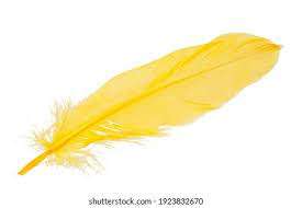 Yellow Feathers