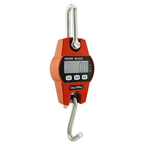 300Kg Mini Crane Scale