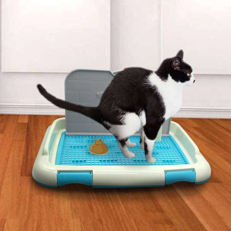 Indoor Cat and Dog Potty Toilet