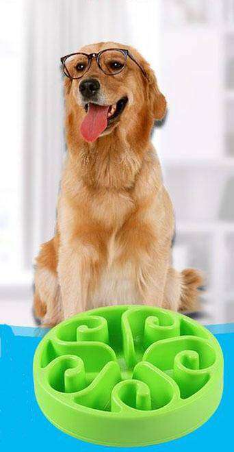 Slow Feed Large Dog Bowls
