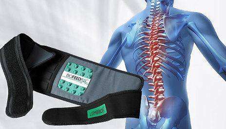 Back Support Belt - ONE SIZE FITS ALL / Black