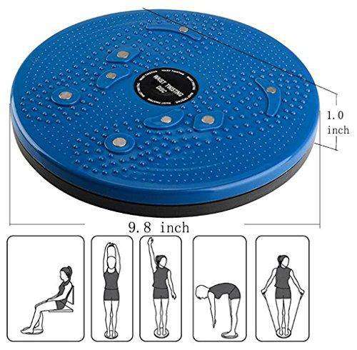 Waist Twisting Disc
