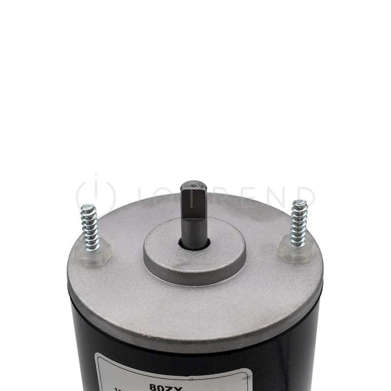 Centurion D5 12VDC Motor only