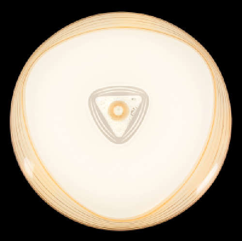 Ceiling Light - CF170 White