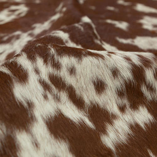 Animal Skin - Cow Skin Nguni