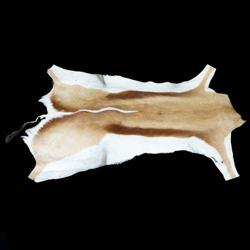 Spingbok Skin