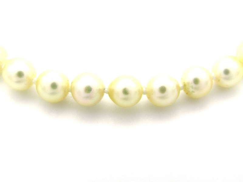 Akoya cultured pearl choker with 9K gold clasp, circa 1950's.