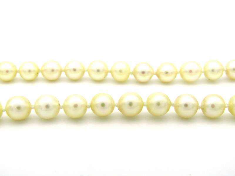 Akoya cultured pearl choker with 9K gold clasp, circa 1950's.