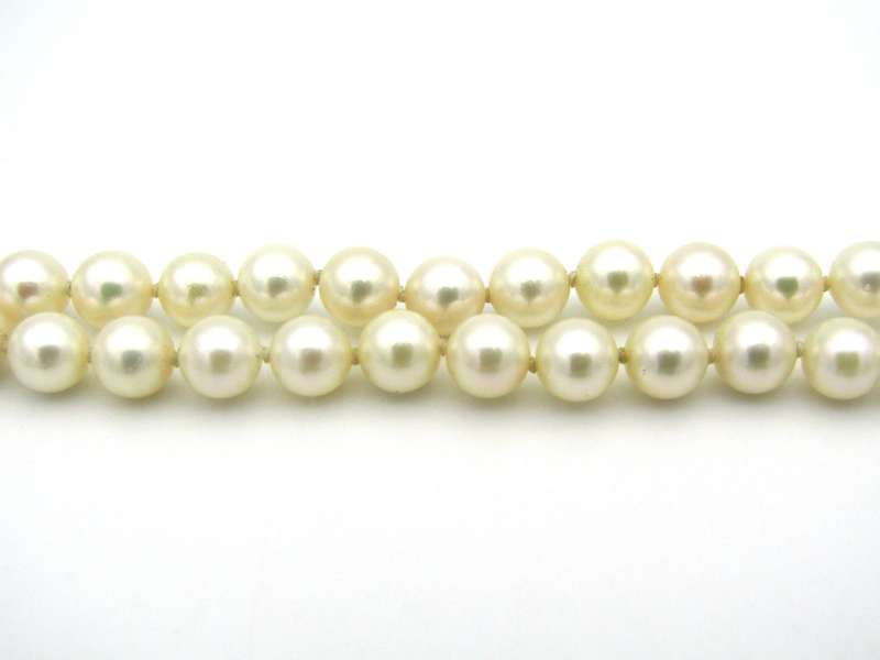 Double strand of pearls with gold plated magnetic clasp.