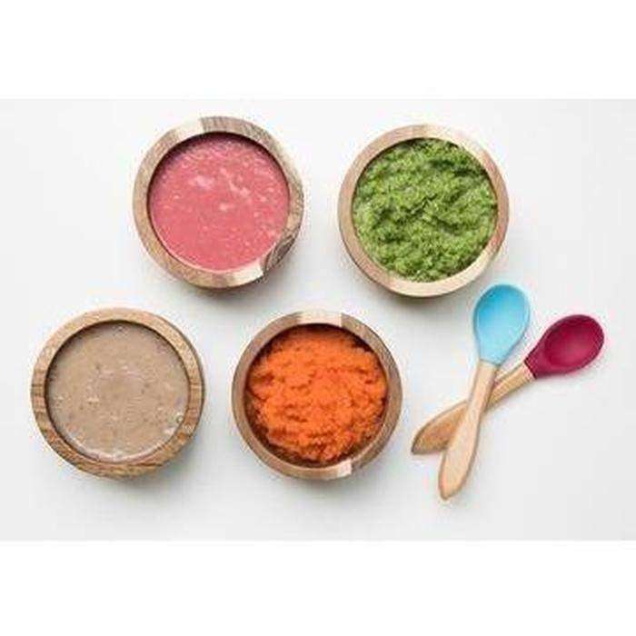 Baby Bullet Baby Food Making System