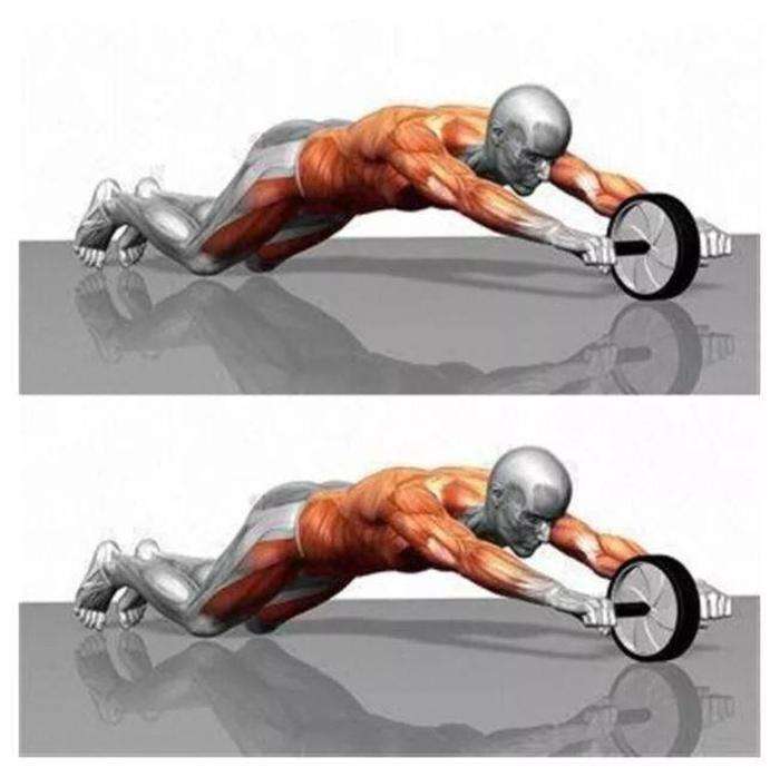 Exercise Wheel