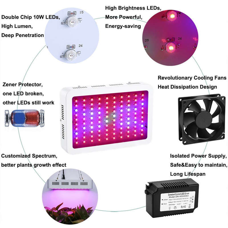 LED Grow Light - 600W