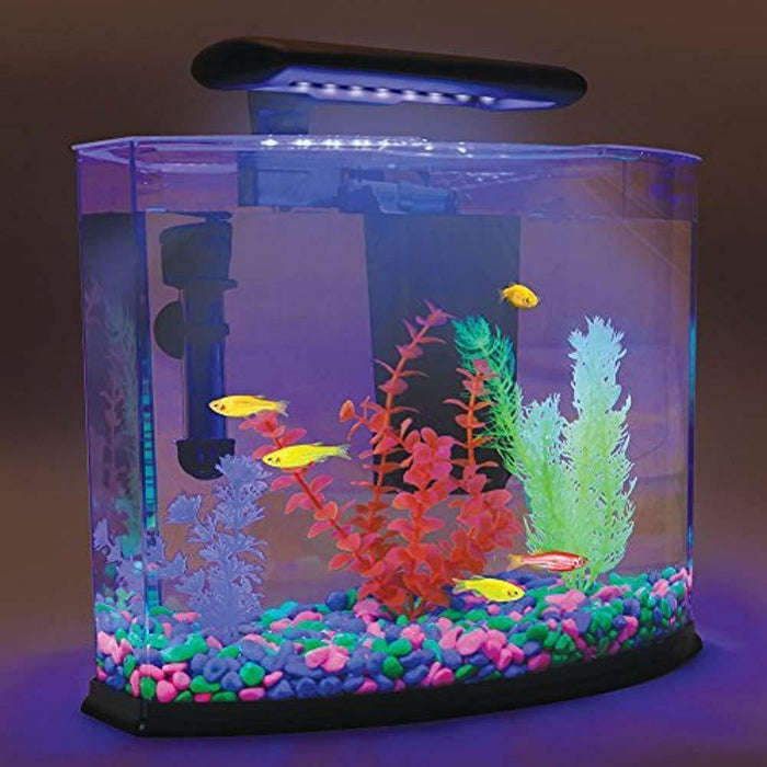 Glow In The Dark Pebble Sets (x2)