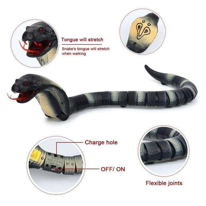 Remote Controlled Cobra
