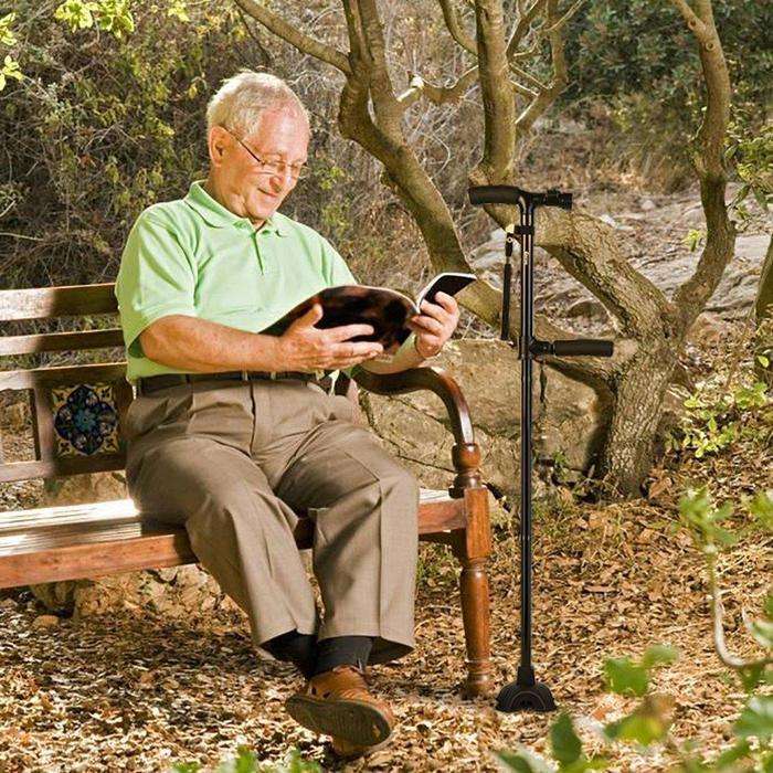 Twin Grip Cane Walking Stick