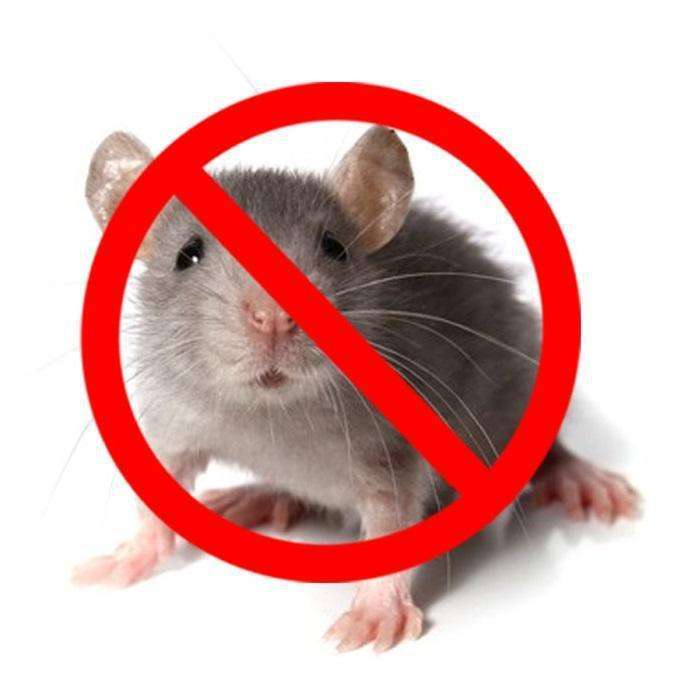 Ultrasonic Pest Chaser