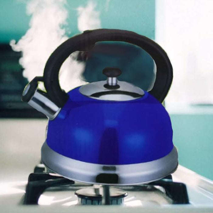 Whistling Kettle 3.0L - Silver
