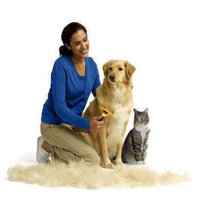 Deshedding Tool for Large Dogs