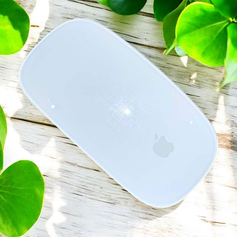 Apple Magic Mouse 2 (Silver) - Pre Owned / 3 Month Warranty