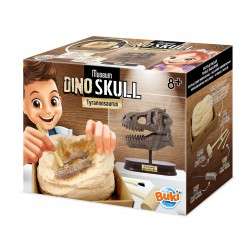 MUSEUM SKULL-T-REX EDUCATIONAL,TEACHER HOME SCHOOL, LEARNING