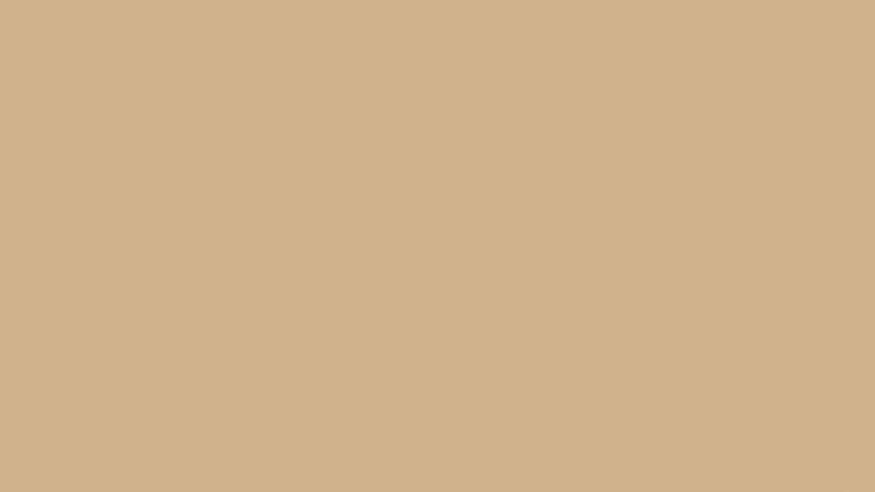 Hatsan Blitz FDE 5.5 (Flat Dark Earth Colour)