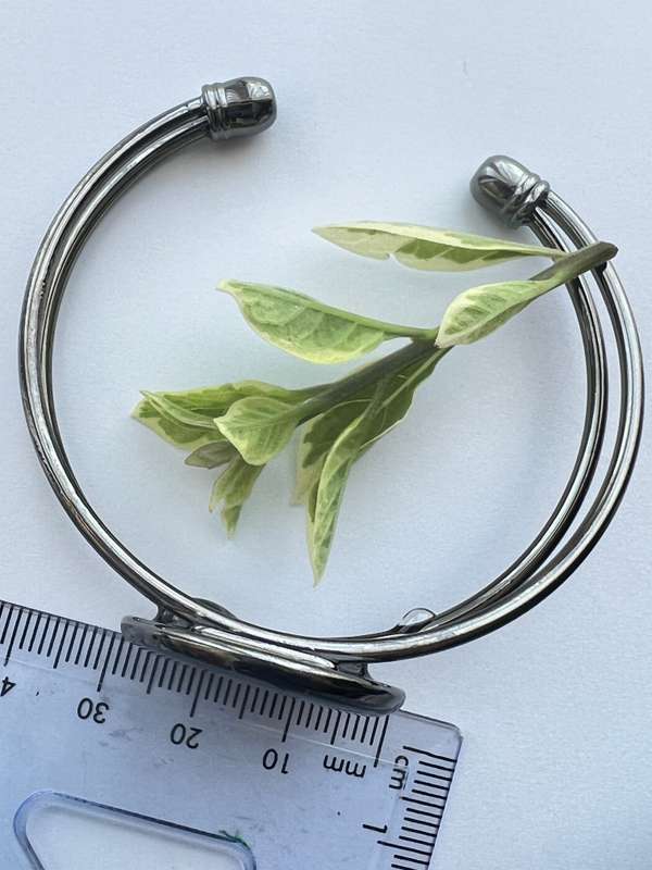 Real Dandelion Statement Bracelets