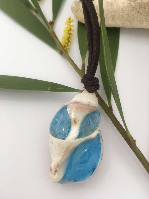 Seashell dreams