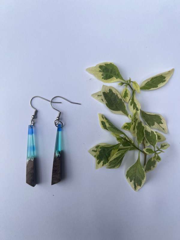 Colour blast Resin on Wood earrings