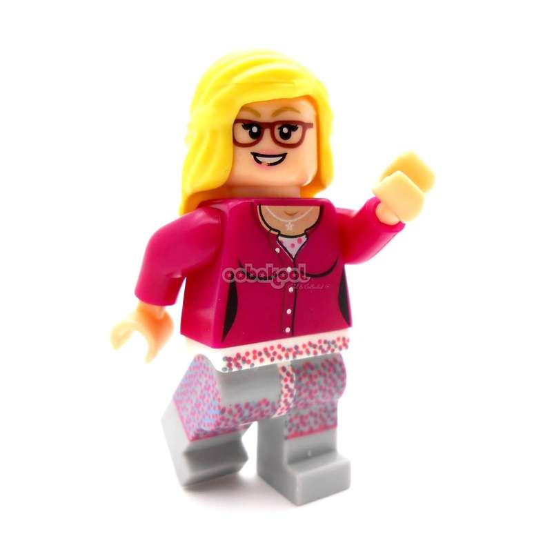 Big Bang Theory / Special TV Series Edition / 7 x OobaKool Minifigure Set