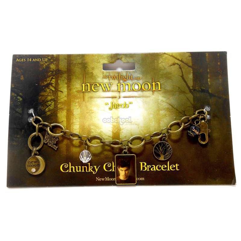 Twilight SAGA / New Moon / Jacob / Chunky Charm Bracelet