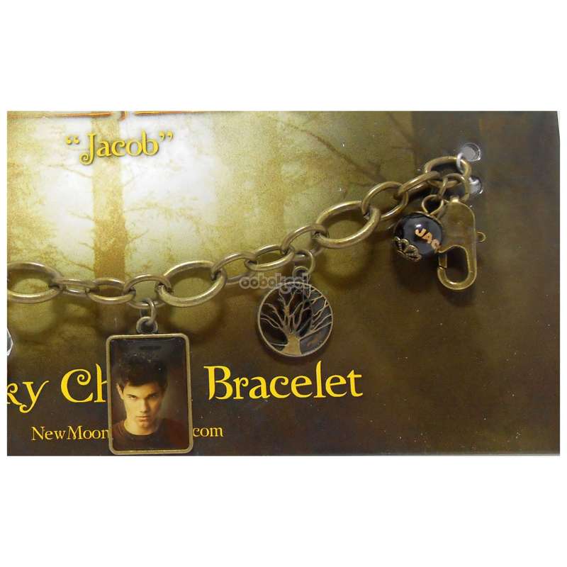 Twilight SAGA / New Moon / Jacob / Chunky Charm Bracelet