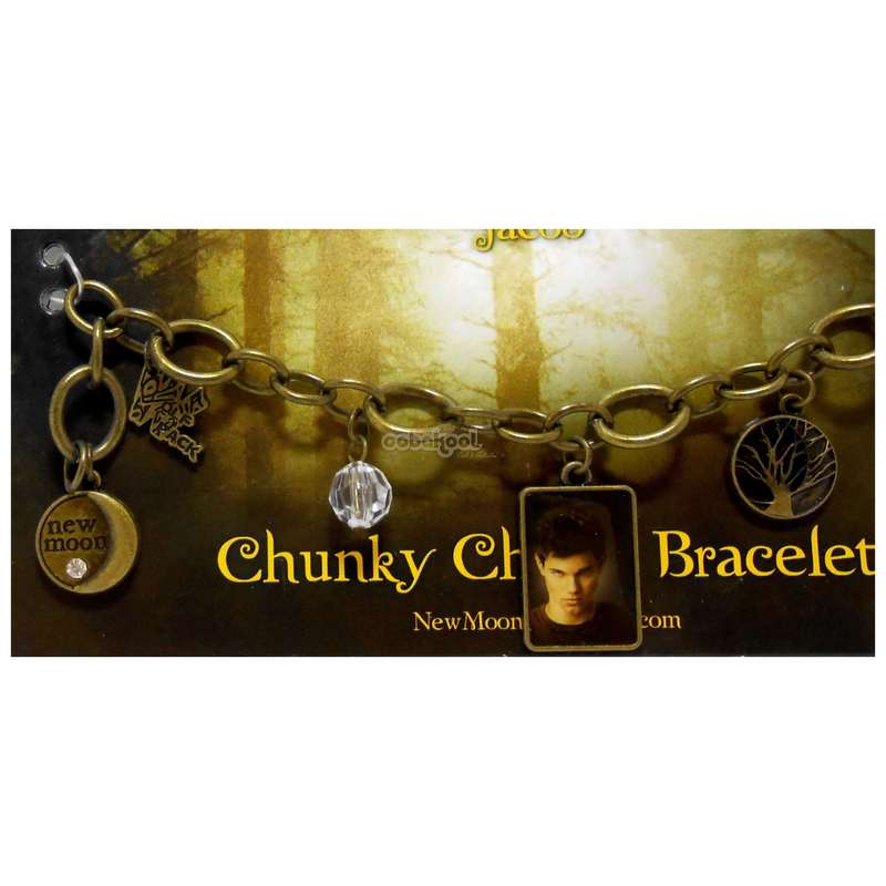 Twilight SAGA / New Moon / Jacob / Chunky Charm Bracelet