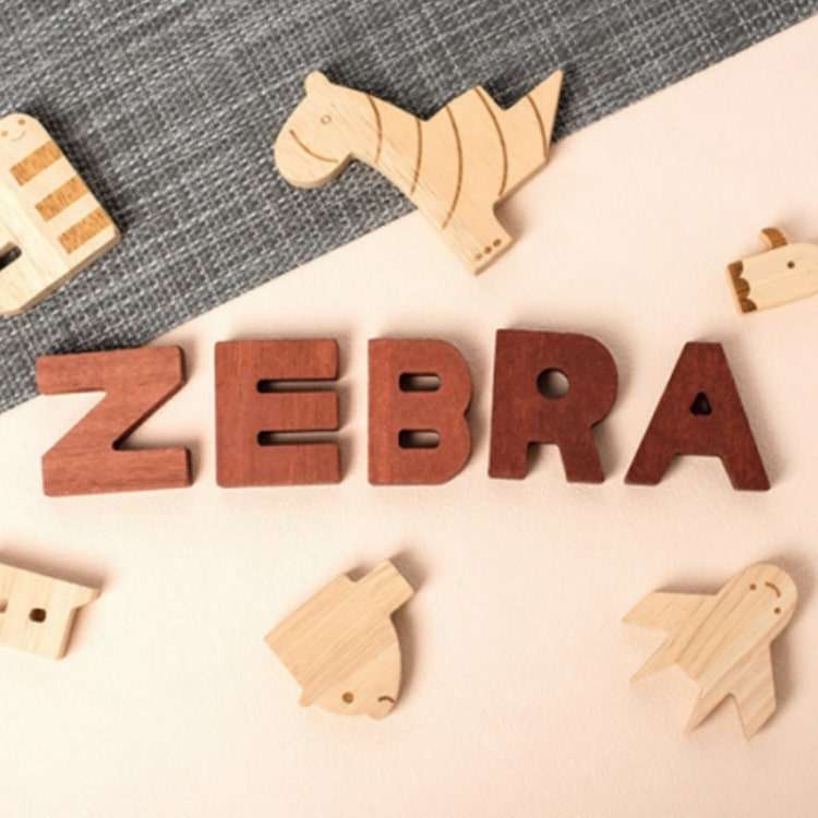 Wooden Alphabet Building Blocks Kit