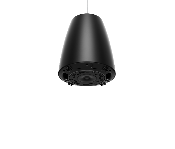 BOSE Professional DesignMax DM3P Pendant Loudspeaker - Pair - Black