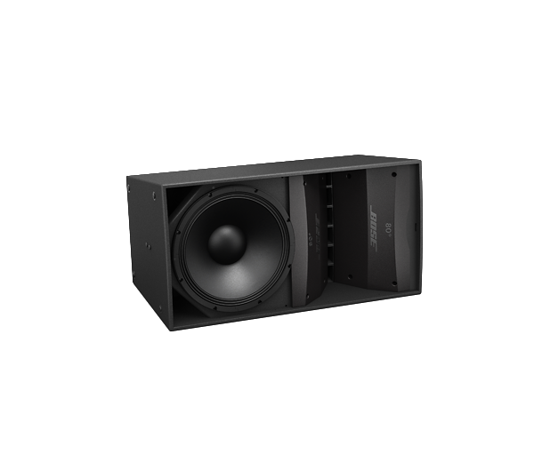 BOSE Professional ArenaMatch AM10/80 DeltaQ Array Loudspeaker - Each - Black