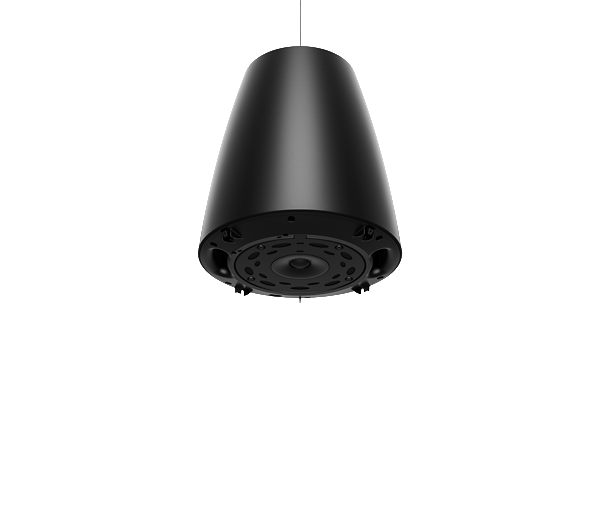 BOSE Professional DesignMax DM5P Pendant Loudspeaker - Pair - Black
