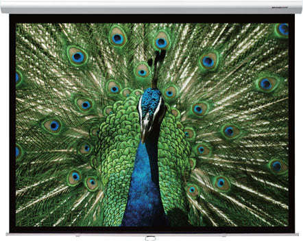 Grandview Cyber Series WM-P100 CYBER-SCM 100" 4:3 Manual Pull-down Screen